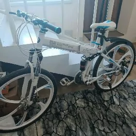 BMW Tigir