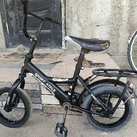 tigir
