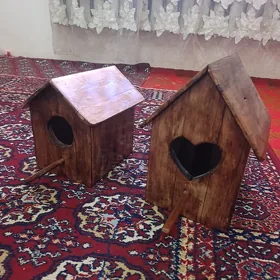Kuhniya enjamlary