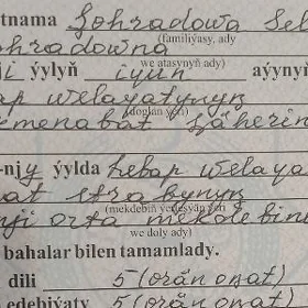 atestat yitdi