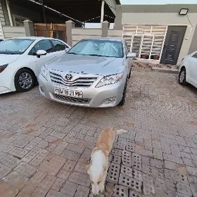 Toyota Camry 2010