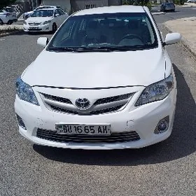 Toyota Corolla 2010