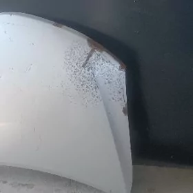 palta kemri kapot