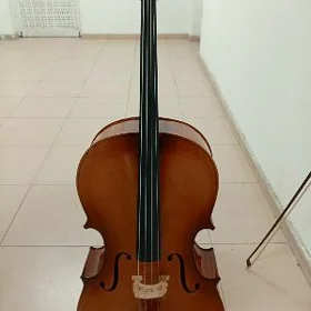 violencel виоленчел