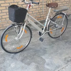 welik 26 5 skor