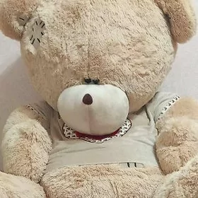Мишка Тедди