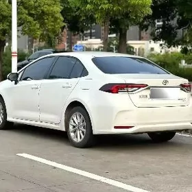Toyota Corolla 2025