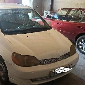 Toyota Echo 2000