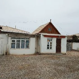öý  (howly)