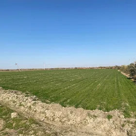 Melek ýer