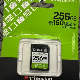Kingston Fleshka 256gb