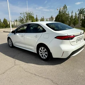 Toyota Corolla 2019