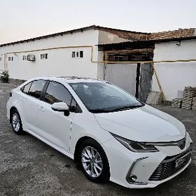 Toyota Corolla 2023