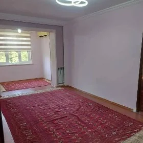 3 mik
