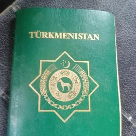 PASPORT TAPYLDY GURDLYDA