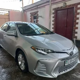Toyota Corolla 2019