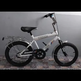 TIGIR BMW