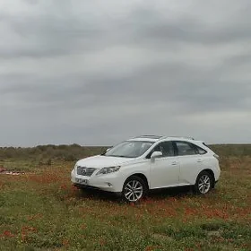 Lexus RX 350 2010