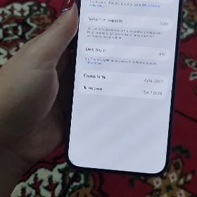 ayfon 16plyus