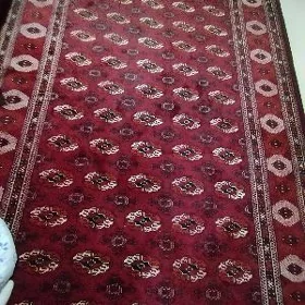 turkmen haly