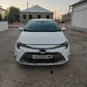 Toyota Corolla 2021
