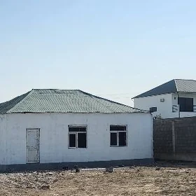 bagyr