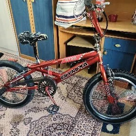 tigir bilen samakat