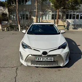Toyota Corolla 2019