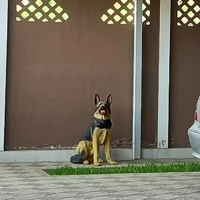 Гужик хейкел