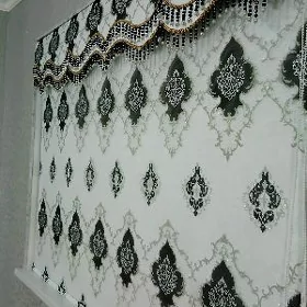 zalyuz