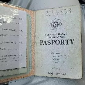 Pasport, wremenny, teh pasport