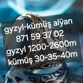 gyzyl kümüş alÿan in̈ gymmat
