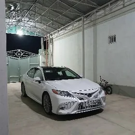 Toyota Camry 2019