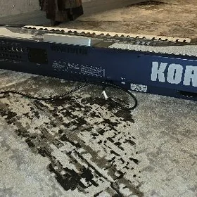 korg pa800
