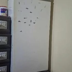 Haladelnik