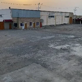 satlyk önümçilik baza