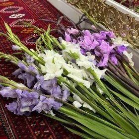 iş gozleyan 