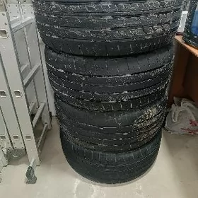 Teker ayak pakryska