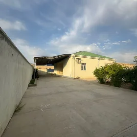 Satlyk jay Nebitçi 43