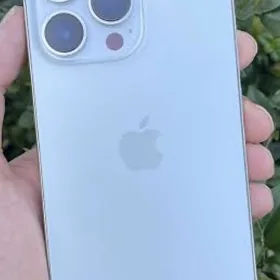 iphone 13pro