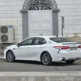 Toyota Camry 2020