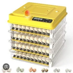 incubator 256x