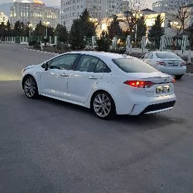 Toyota Corolla 2021