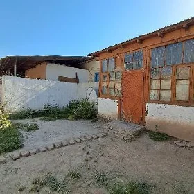 Zamost Koytene yakyn