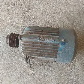 Elektro dwitel