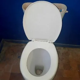 унитаз