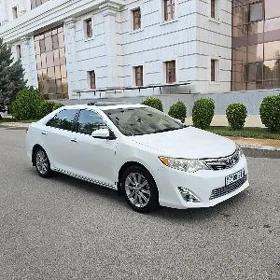 Toyota Camry 2013