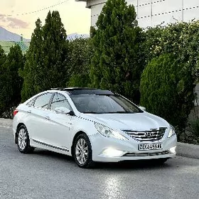Hyundai Sonata 2010