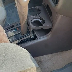 Samsyk camry suw goýulýany