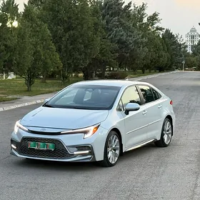 Toyota Corolla 2023